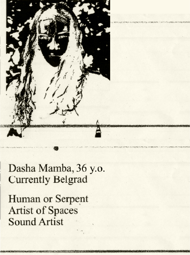 Dasha Mamba Portfolio Header